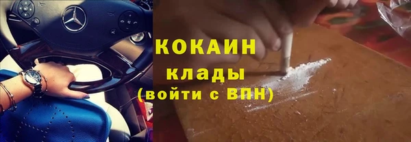ГАЛЛЮЦИНОГЕННЫЕ ГРИБЫ Арсеньев