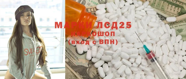 ГАЛЛЮЦИНОГЕННЫЕ ГРИБЫ Арсеньев